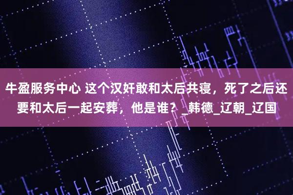 牛盈服务中心 这个汉奸敢和太后共寝，死了之后还要和太后一起安葬，他是谁？_韩德_辽朝_辽国